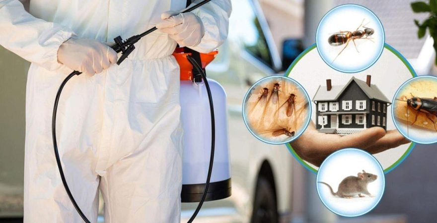 Kartepe Böcek İlaçlama