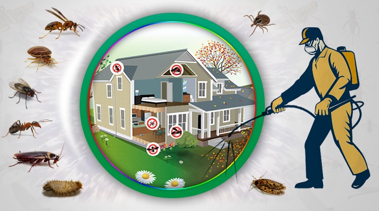 Kartepe Böcek İlaçlama