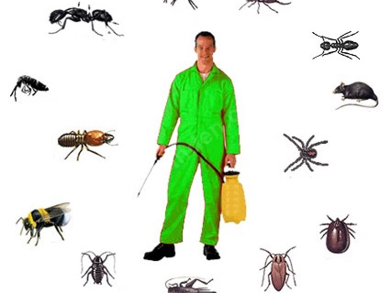 Kartepe Böcek İlaçlama